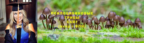 гидра Беломорск
