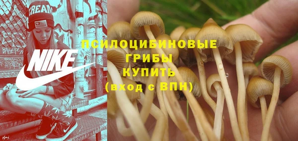 гашишное масло Белокуриха