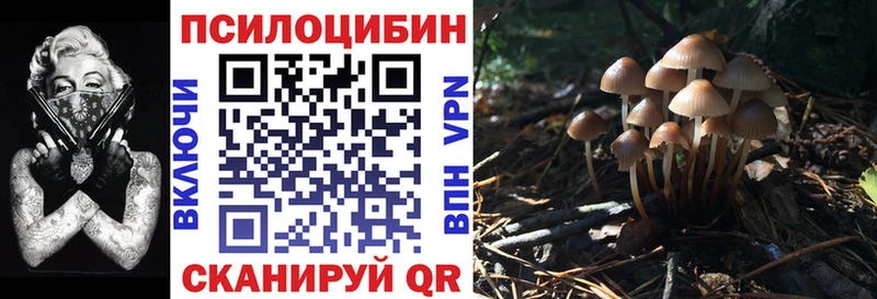 Псилоцибиновые грибы мицелий  Курчатов 